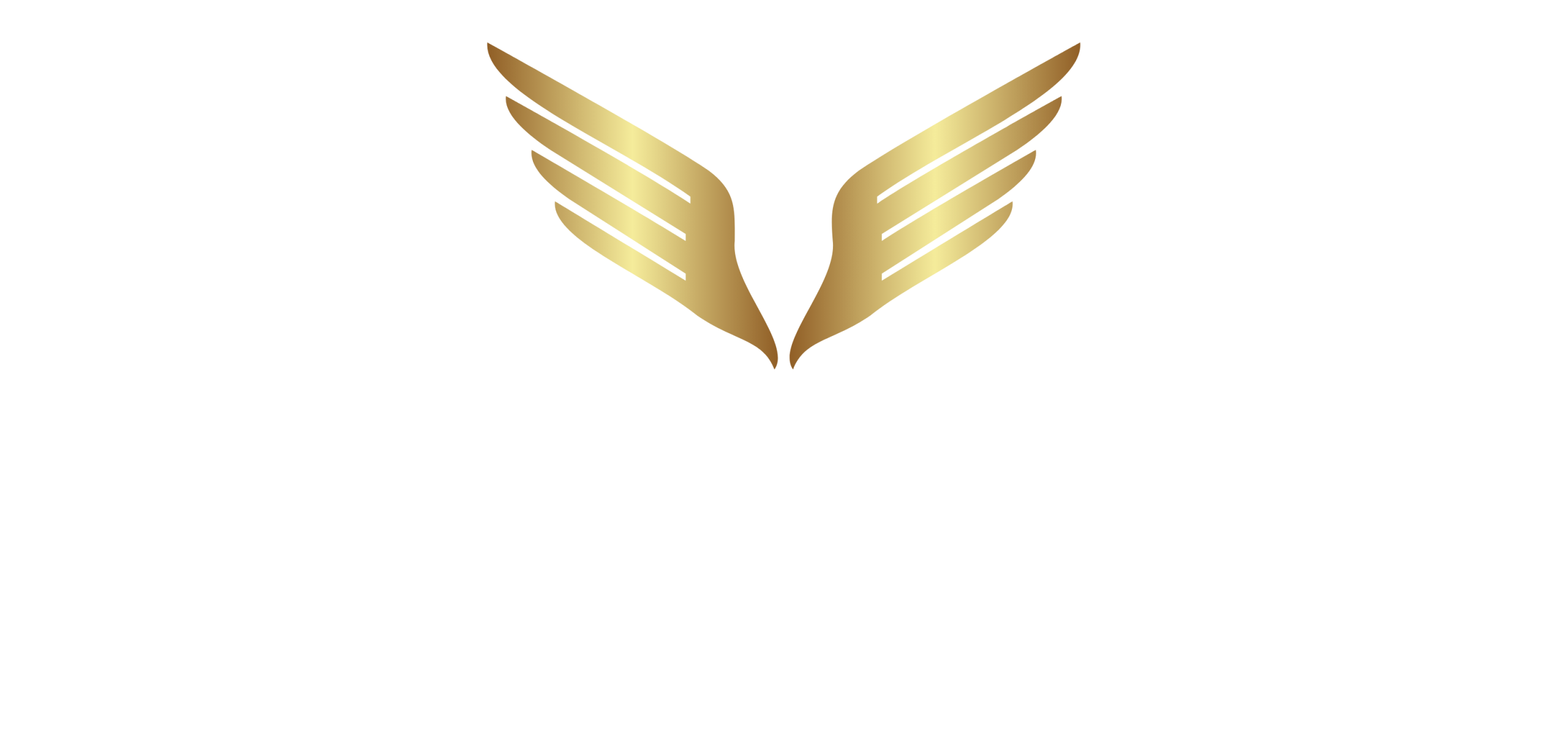 fineshinedetailing-logo